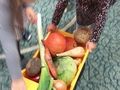 FB IMG 1603210547207
