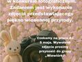 Plakat informujący o wiosennym konkursie fotograficznym. Zdjęcie przedstawiające piękno wiosennej przyrody należy dostarczyć do 5 maja.
