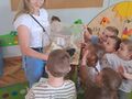 kobieta pokazuje kurczaki dzieciom