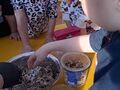 dzieci dosypują nasion do miski