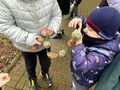 dzieci patrzą na przygotowane jedzenie dla ptaków